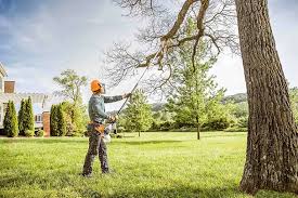 Tree and Shrub Care in Greenland, AR